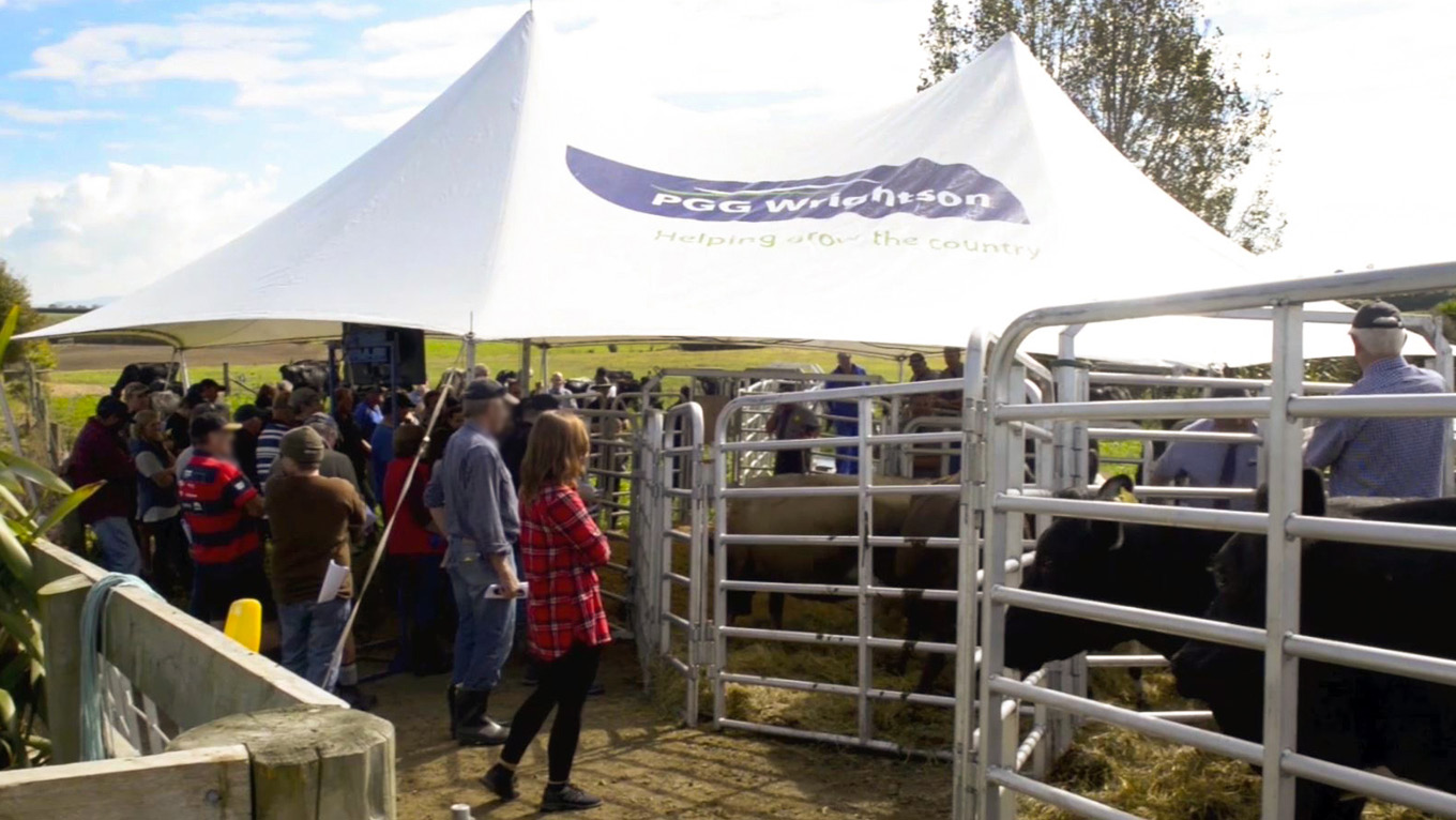 Livestock Market Update High interest and strong enquires with